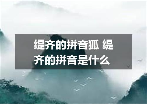 缇齐的拼音狐 缇齐的拼音是什么