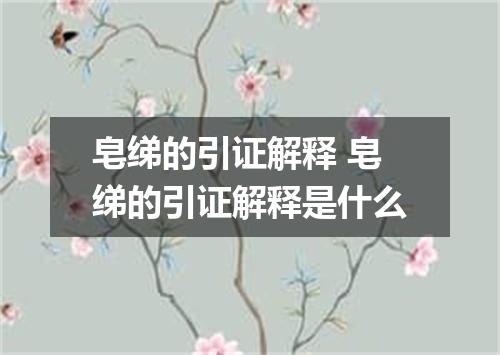 皂绨的引证解释 皂绨的引证解释是什么