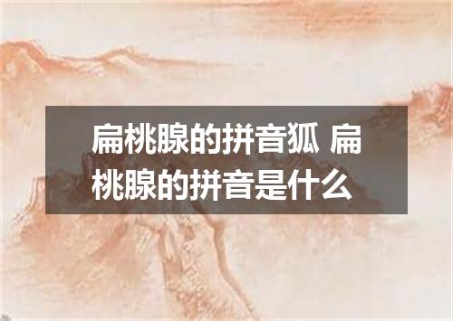 扁桃腺的拼音狐 扁桃腺的拼音是什么