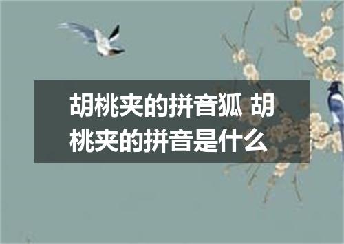 胡桃夹的拼音狐 胡桃夹的拼音是什么