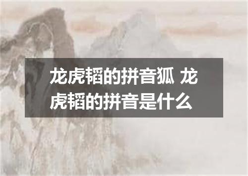 龙虎韬的拼音狐 龙虎韬的拼音是什么
