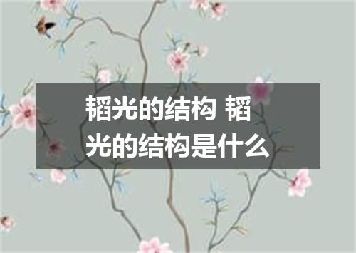 韬光的结构 韬光的结构是什么
