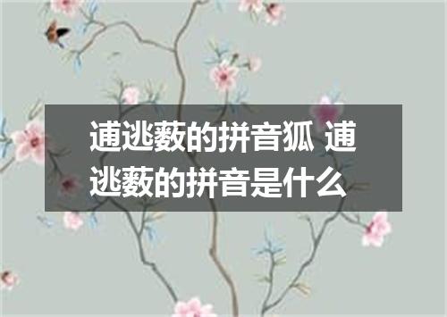 逋逃薮的拼音狐 逋逃薮的拼音是什么