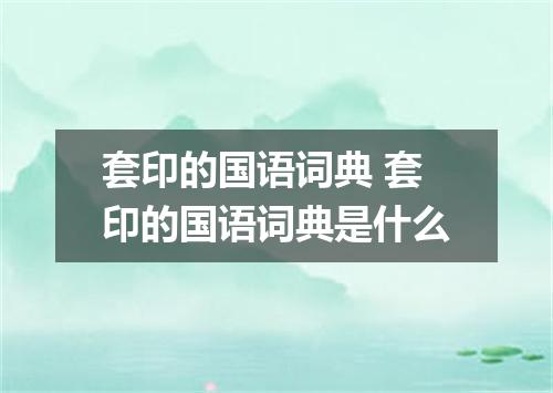 套印的国语词典 套印的国语词典是什么