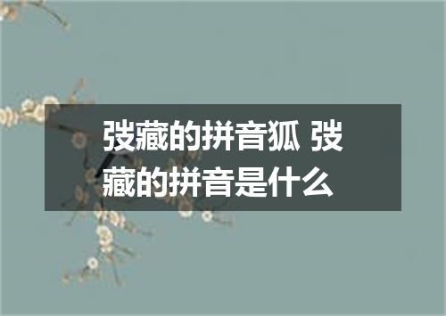 弢藏的拼音狐 弢藏的拼音是什么