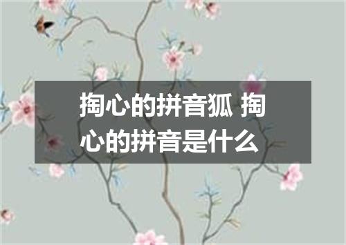 掏心的拼音狐 掏心的拼音是什么