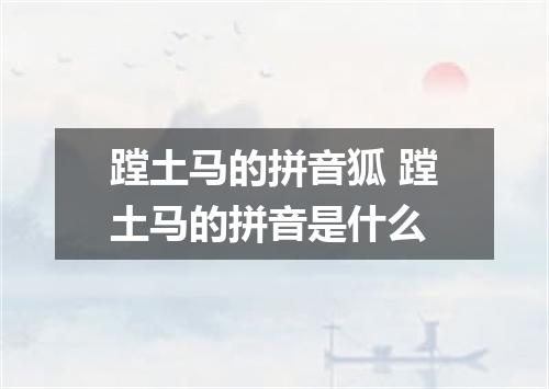 蹚土马的拼音狐 蹚土马的拼音是什么