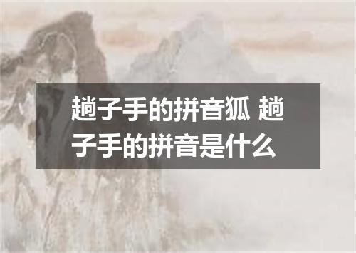 趟子手的拼音狐 趟子手的拼音是什么
