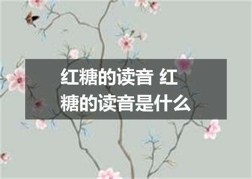 红糖的读音 红糖的读音是什么