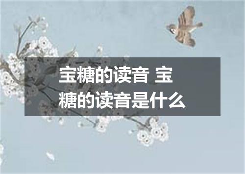 宝糖的读音 宝糖的读音是什么