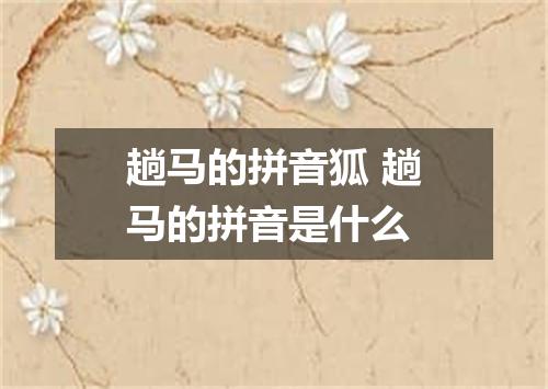 趟马的拼音狐 趟马的拼音是什么