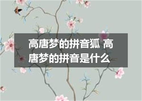 高唐梦的拼音狐 高唐梦的拼音是什么