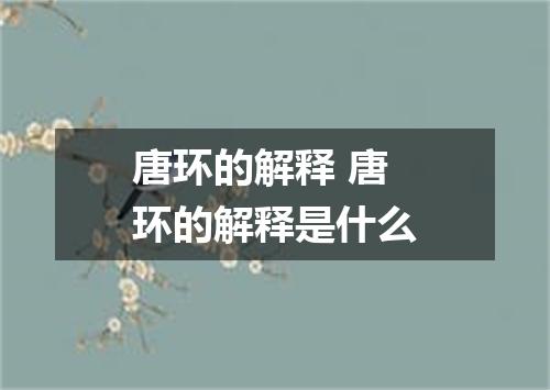 唐环的解释 唐环的解释是什么