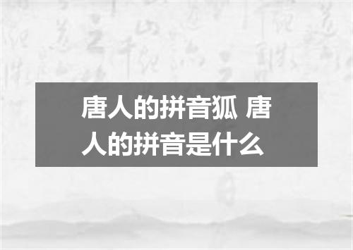 唐人的拼音狐 唐人的拼音是什么