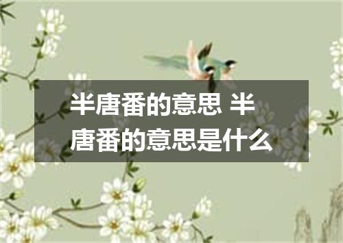 半唐番的意思 半唐番的意思是什么