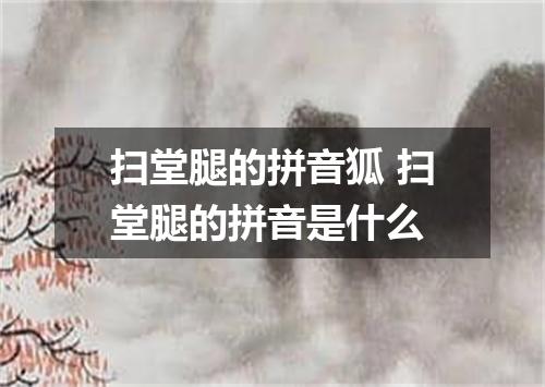 扫堂腿的拼音狐 扫堂腿的拼音是什么