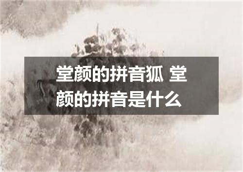 堂颜的拼音狐 堂颜的拼音是什么