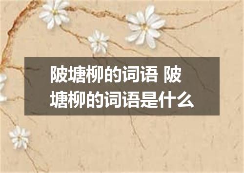 陂塘柳的词语 陂塘柳的词语是什么