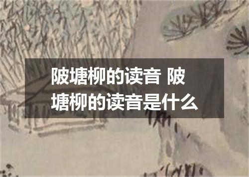 陂塘柳的读音 陂塘柳的读音是什么