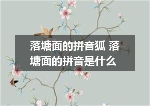 落塘面的拼音狐 落塘面的拼音是什么