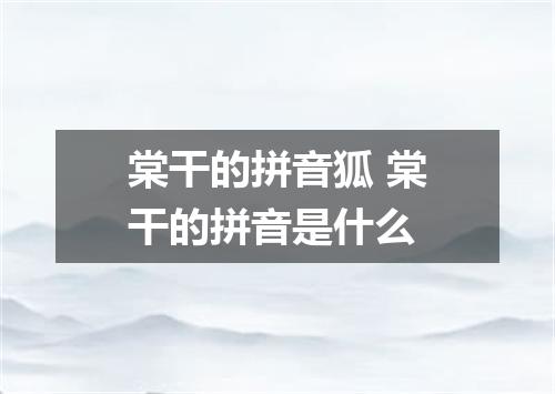 棠干的拼音狐 棠干的拼音是什么