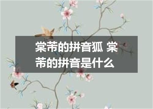 棠芾的拼音狐 棠芾的拼音是什么