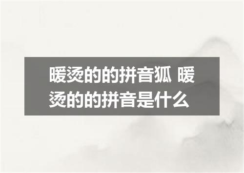 暖烫的的拼音狐 暖烫的的拼音是什么