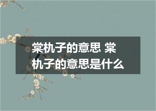 棠朹子的意思 棠朹子的意思是什么