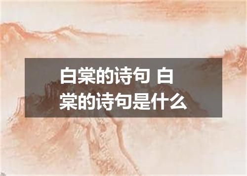 白棠的诗句 白棠的诗句是什么