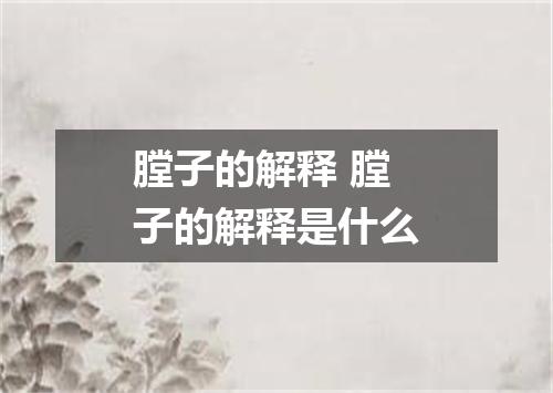 膛子的解释 膛子的解释是什么