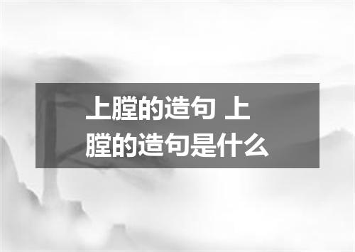 上膛的造句 上膛的造句是什么