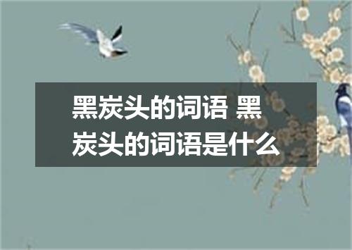 黑炭头的词语 黑炭头的词语是什么