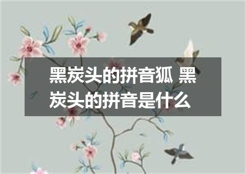 黑炭头的拼音狐 黑炭头的拼音是什么
