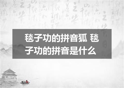 毯子功的拼音狐 毯子功的拼音是什么