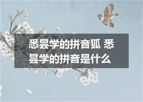 悉昙学的拼音狐 悉昙学的拼音是什么