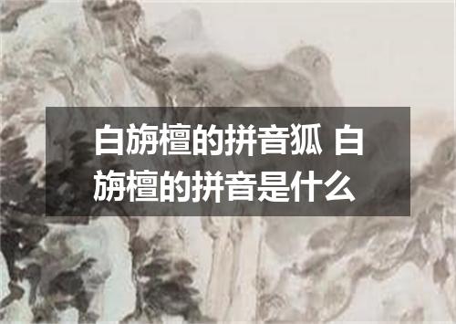 白旃檀的拼音狐 白旃檀的拼音是什么
