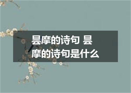 昙摩的诗句 昙摩的诗句是什么