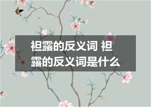 袒露的反义词 袒露的反义词是什么