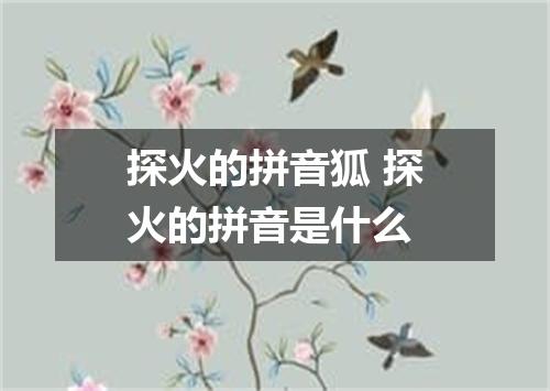 探火的拼音狐 探火的拼音是什么