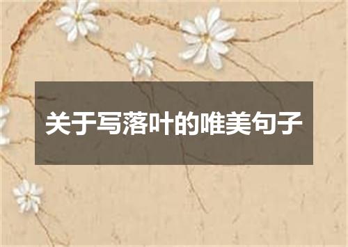 关于写落叶的唯美句子