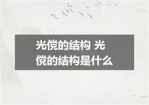 光傥的结构 光傥的结构是什么