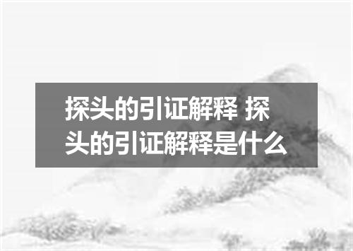探头的引证解释 探头的引证解释是什么