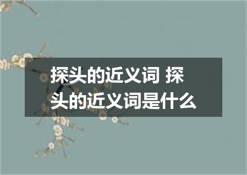 探头的近义词 探头的近义词是什么