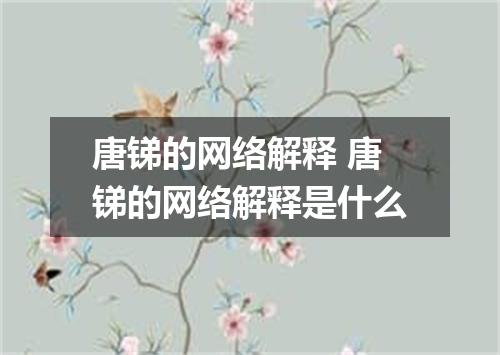 唐锑的网络解释 唐锑的网络解释是什么