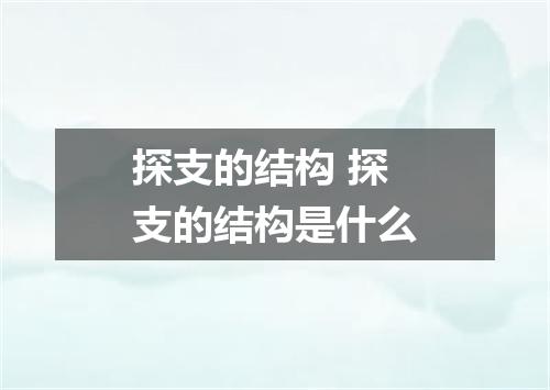 探支的结构 探支的结构是什么