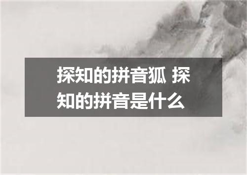 探知的拼音狐 探知的拼音是什么