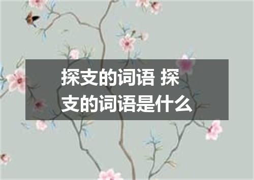 探支的词语 探支的词语是什么