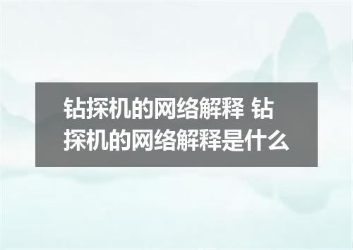 钻探机的网络解释 钻探机的网络解释是什么