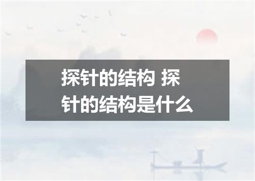 探针的结构 探针的结构是什么