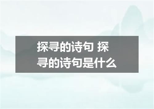 探寻的诗句 探寻的诗句是什么